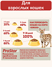 Sirius cухой корм для взрослых кошек, Мясной рацион, 10кг